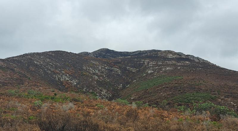 0 Bedroom Property for Sale in Kareedouw Eastern Cape